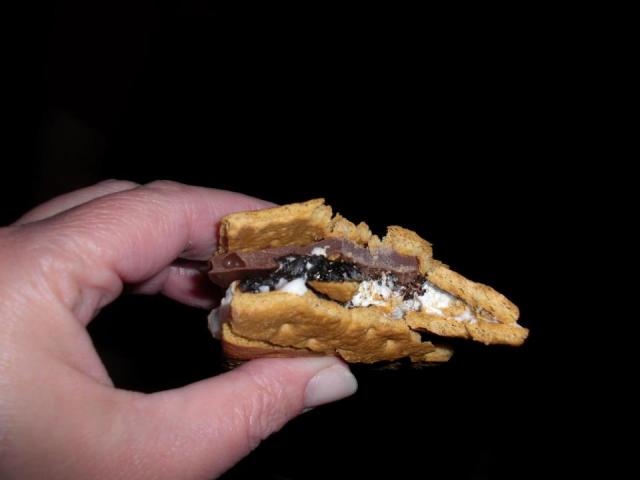 Janee's Smore, ok so it's a dessert sandwich