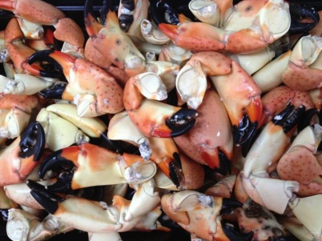 stone crab claws