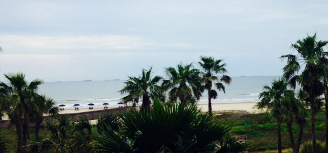 Galveston Island